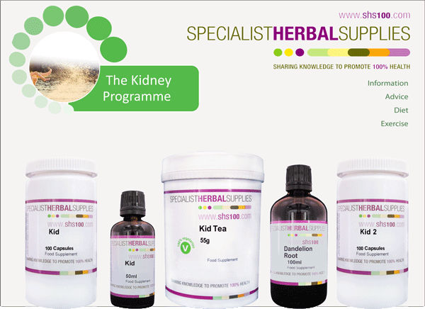 Kidney Programme image