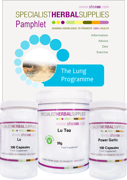 Lung Programme image